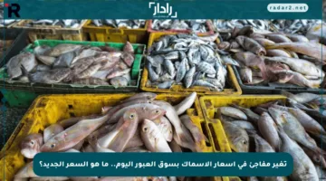 تغير مفاجئ في أسعار الأسماك بسوق العبور اليوم.. ما هو السعر الجديد؟